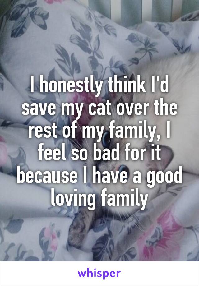 I honestly think I'd save my cat over the rest of my family, I feel so bad for it because I have a good loving family