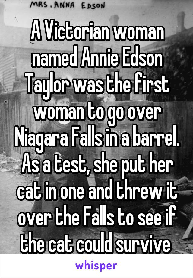 A Victorian woman named Annie Edson Taylor was the first woman to go over Niagara Falls in a barrel.
As a test, she put her cat in one and threw it over the Falls to see if the cat could survive 