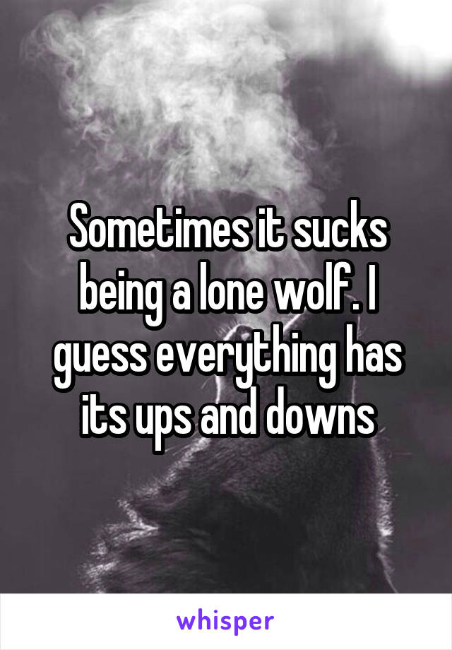 Sometimes it sucks being a lone wolf. I guess everything has its ups and downs