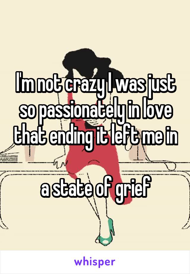 I'm not crazy I was just so passionately in love that ending it left me in 
a state of grief