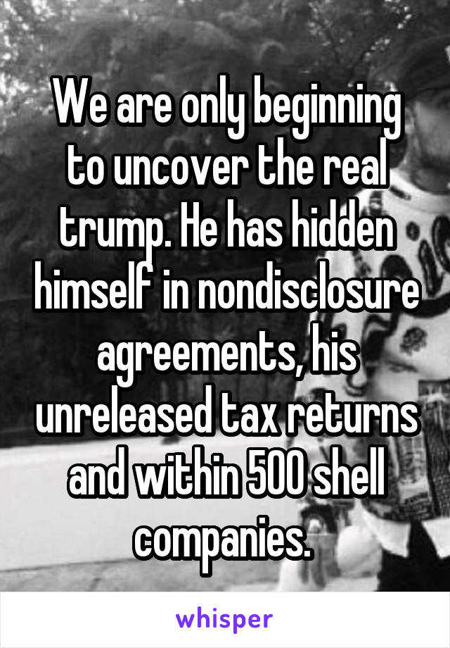 We are only beginning to uncover the real trump. He has hidden himself in nondisclosure agreements, his unreleased tax returns and within 500 shell companies. 