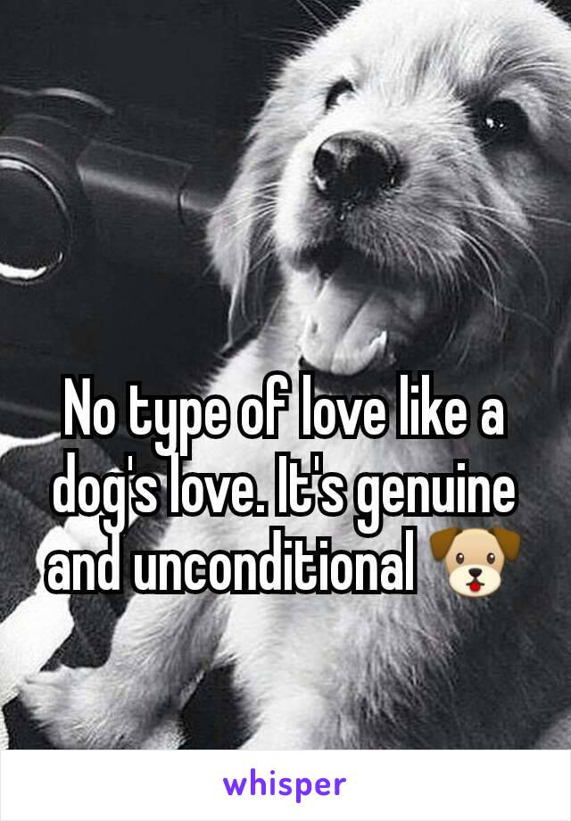 No type of love like a dog's love. It's genuine and unconditional 🐶