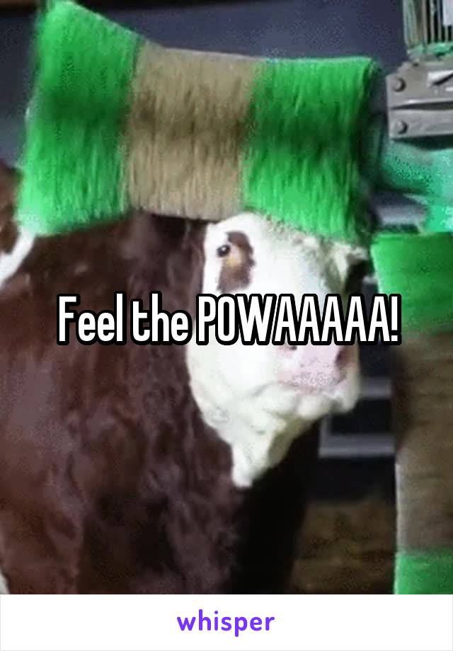 Feel the POWAAAAA!