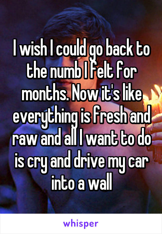 I wish I could go back to the numb I felt for months. Now it's like everything is fresh and raw and all I want to do is cry and drive my car into a wall