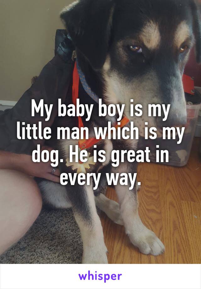My baby boy is my little man which is my dog. He is great in every way.
