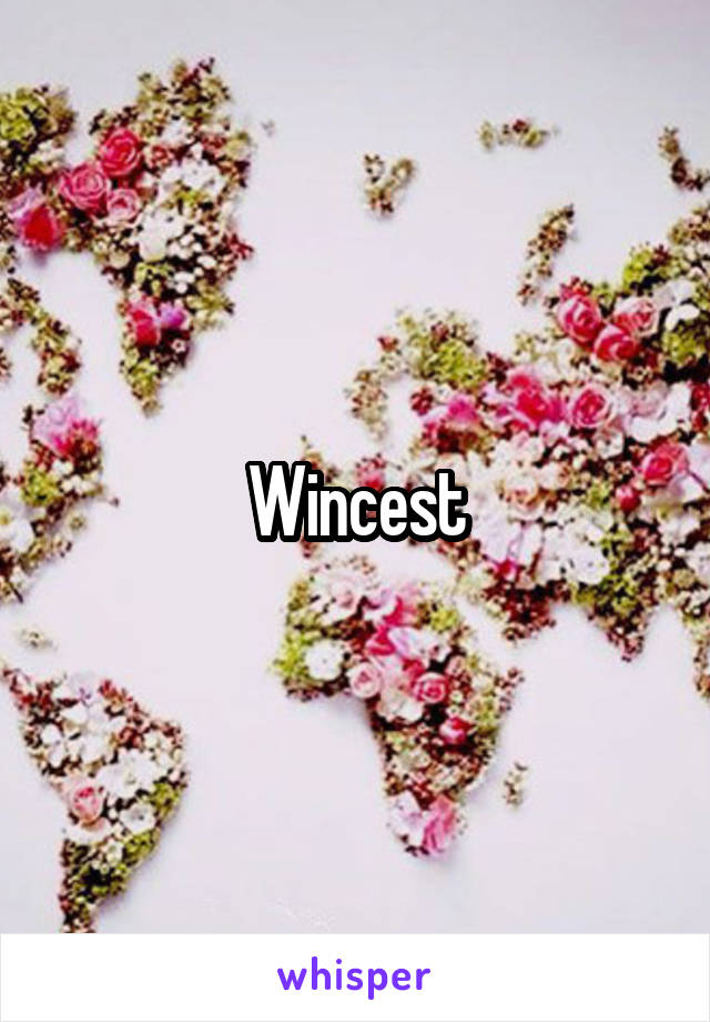Wincest