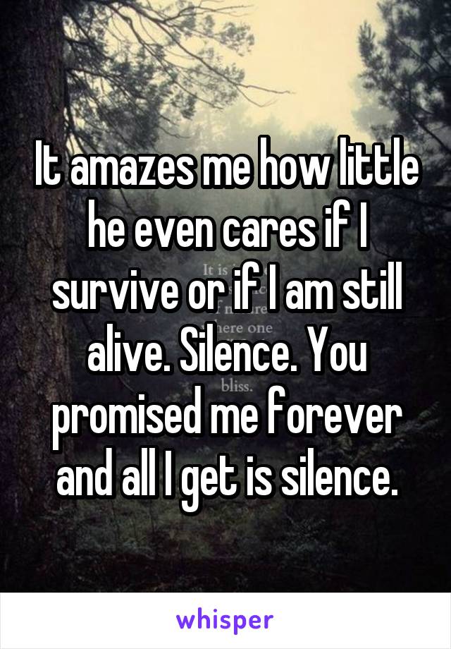 It amazes me how little he even cares if I survive or if I am still alive. Silence. You promised me forever and all I get is silence.