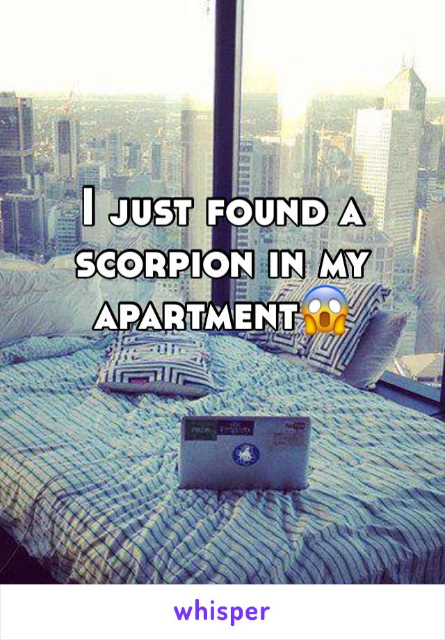 I just found a scorpion in my apartment😱