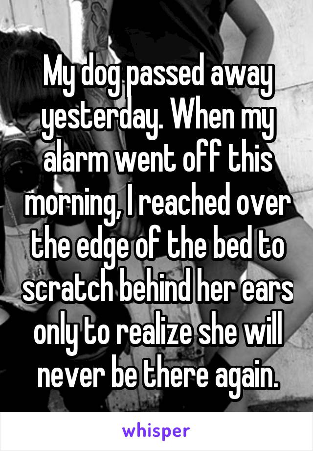 My dog passed away yesterday. When my alarm went off this morning, I reached over the edge of the bed to scratch behind her ears only to realize she will never be there again.