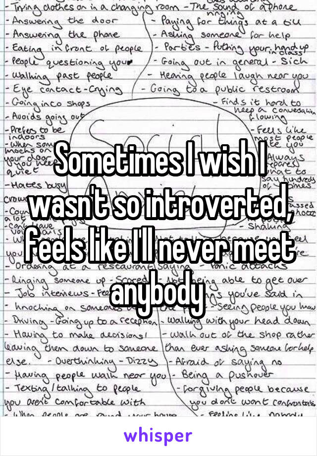 Sometimes I wish I wasn't so introverted, feels like I'll never meet anybody 