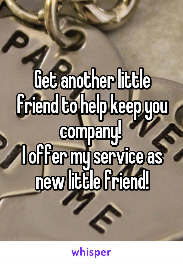 Get another little friend to help keep you company! 
I offer my service as new little friend!