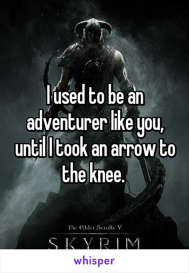 I used to be an adventurer like you, until I took an arrow to the knee. 