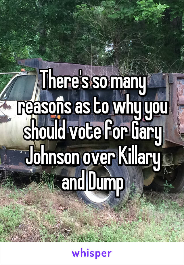 There's so many reasons as to why you should vote for Gary Johnson over Killary and Dump