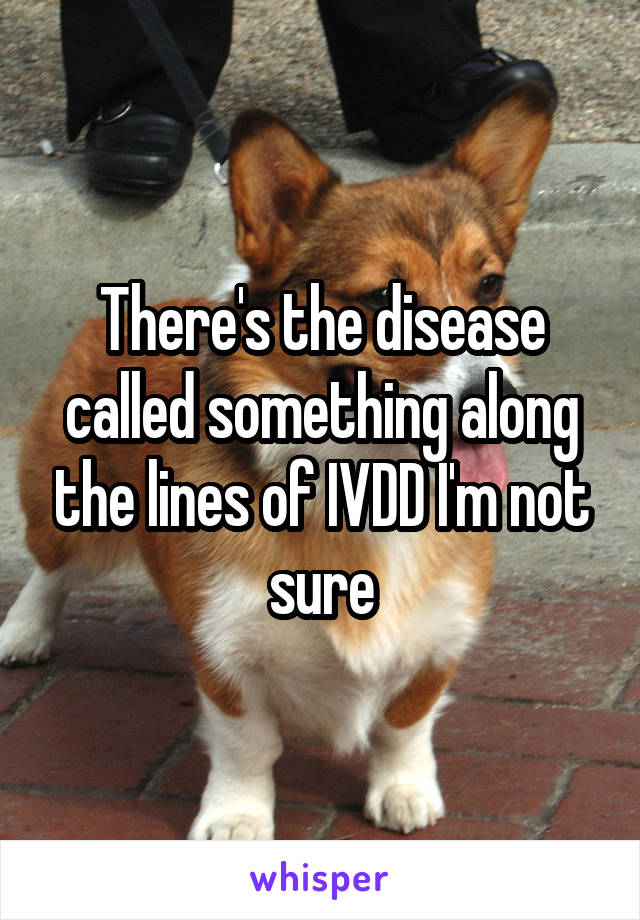 There's the disease called something along the lines of IVDD I'm not sure