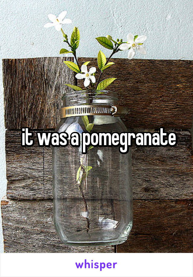  it was a pomegranate