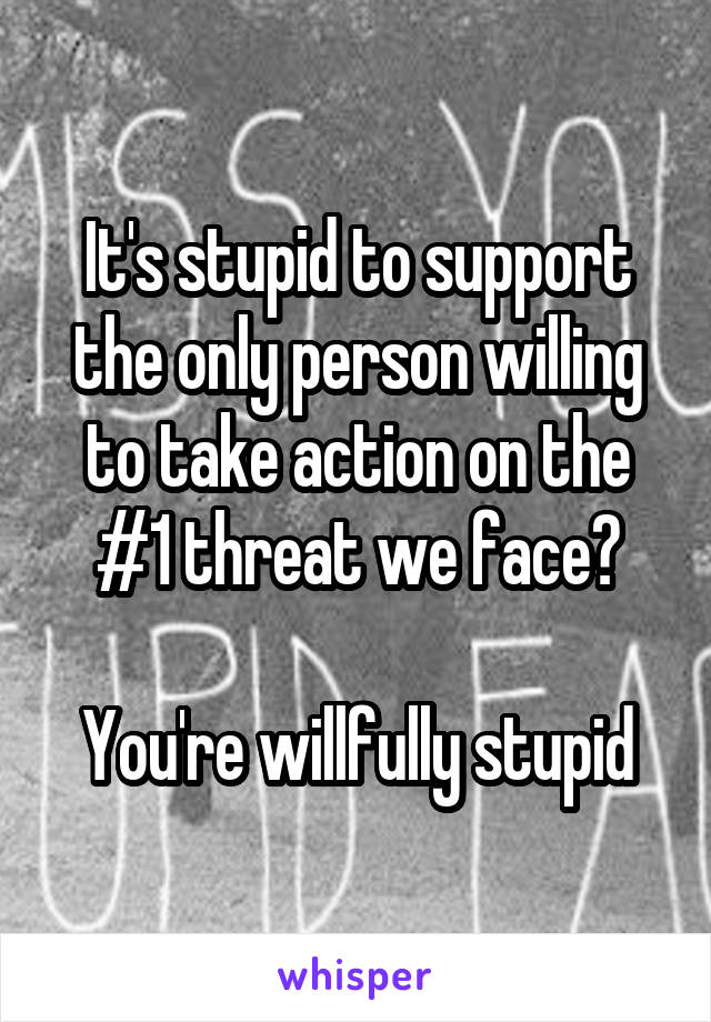 It's stupid to support the only person willing to take action on the #1 threat we face?

You're willfully stupid