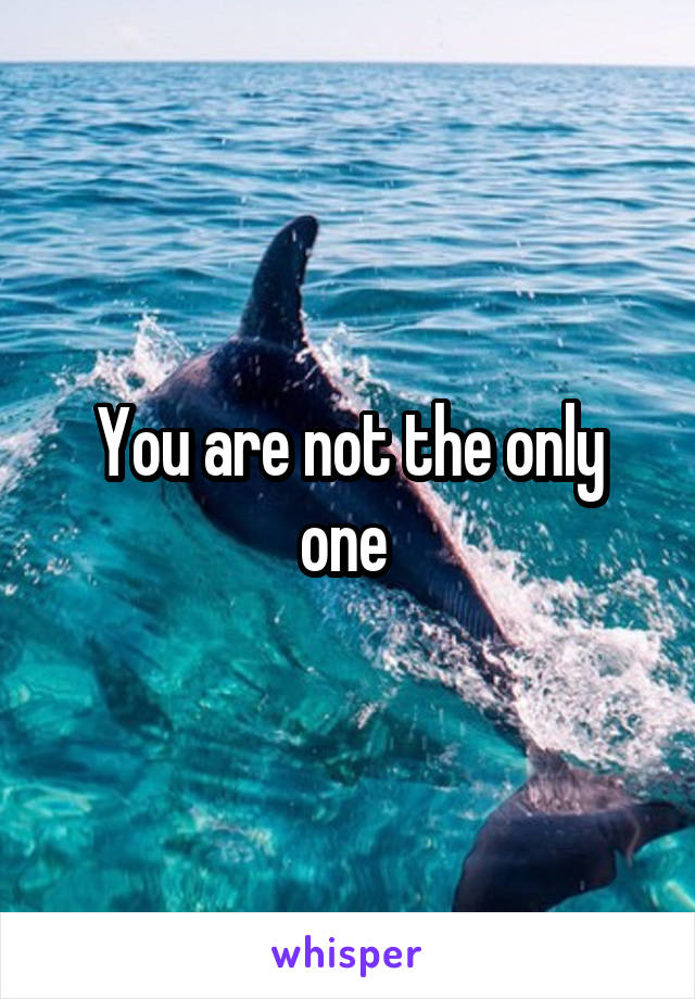 You are not the only one 