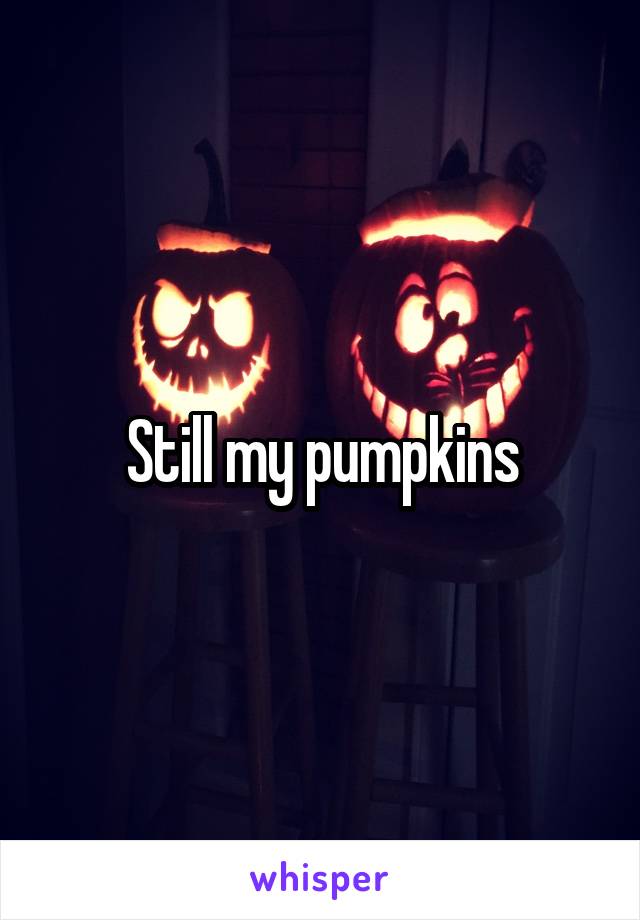 Still my pumpkins