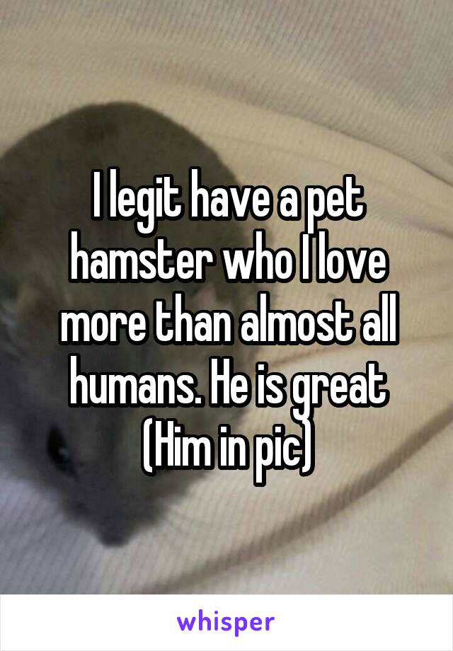 I legit have a pet hamster who I love more than almost all humans. He is great
(Him in pic)