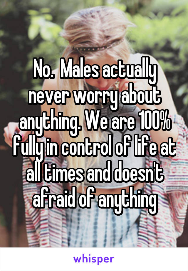No.  Males actually never worry about anything. We are 100% fully in control of life at all times and doesn't afraid of anything