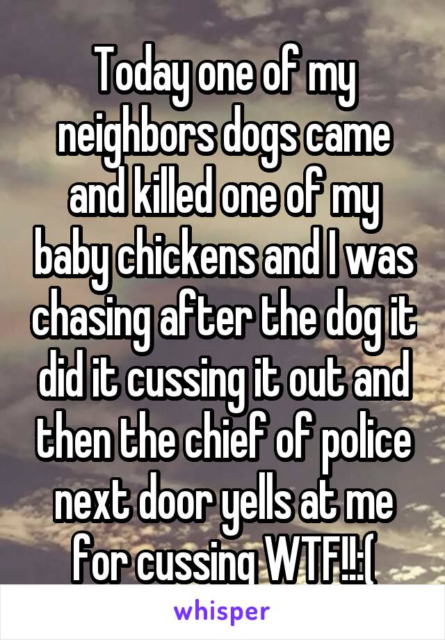Today one of my neighbors dogs came and killed one of my baby chickens and I was chasing after the dog it did it cussing it out and then the chief of police next door yells at me for cussing WTF!!:(