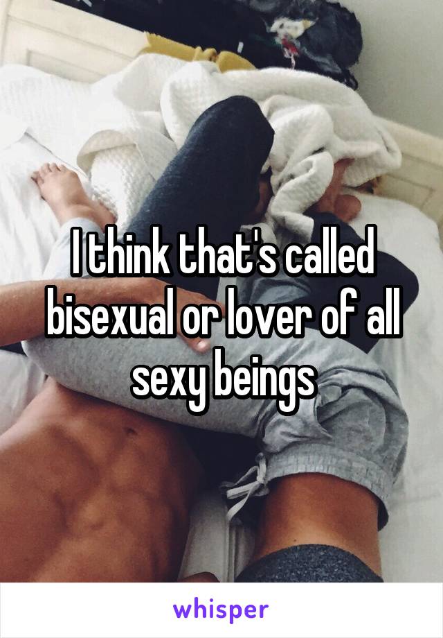 I think that's called bisexual or lover of all sexy beings
