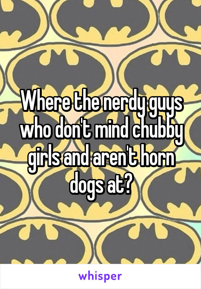 Where the nerdy guys who don't mind chubby girls and aren't horn dogs at?