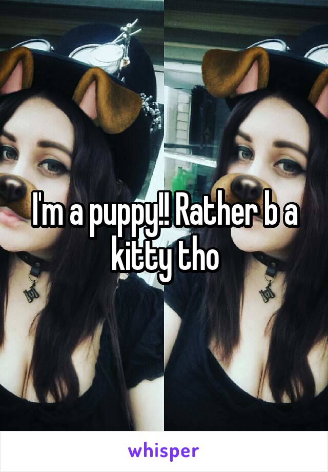 I'm a puppy!! Rather b a kitty tho