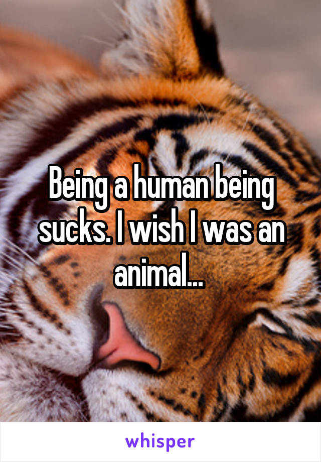 Being a human being sucks. I wish I was an animal... 