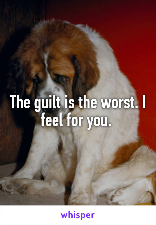 The guilt is the worst. I feel for you. 