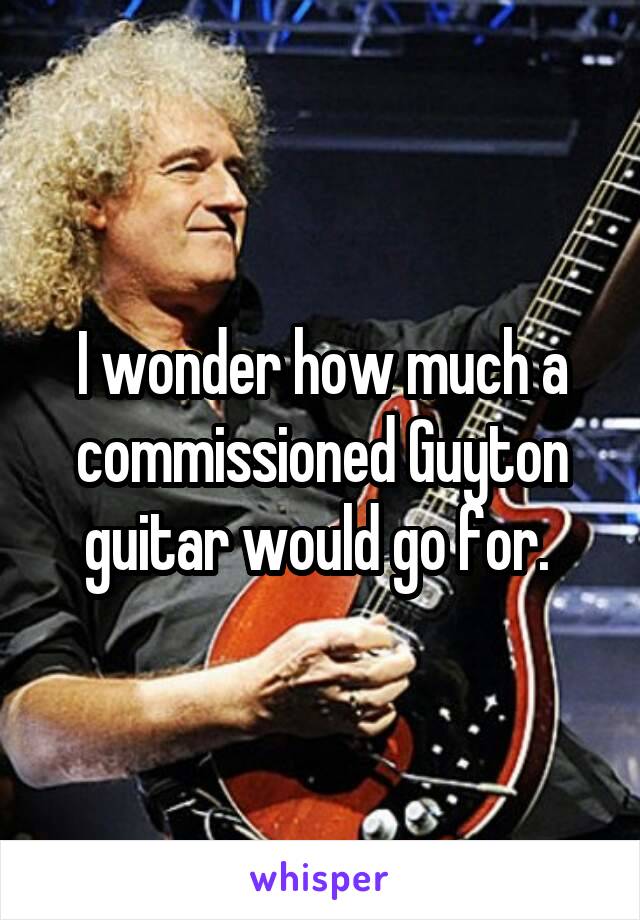 I wonder how much a commissioned Guyton guitar would go for. 