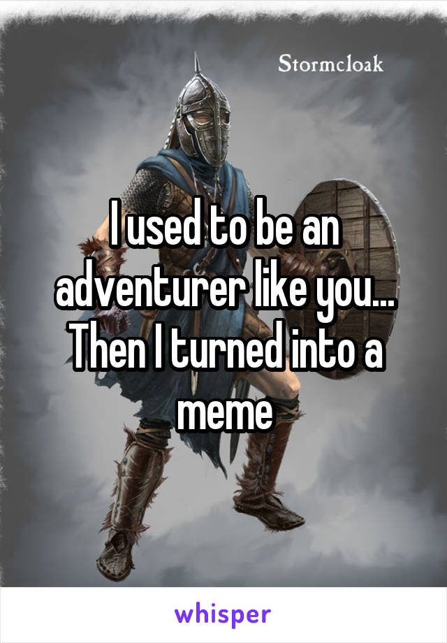 I used to be an adventurer like you... Then I turned into a meme
