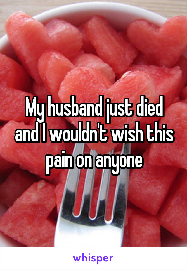 My husband just died and I wouldn't wish this pain on anyone