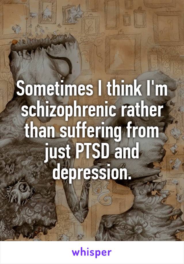 Sometimes I think I'm schizophrenic rather than suffering from just PTSD and depression.
