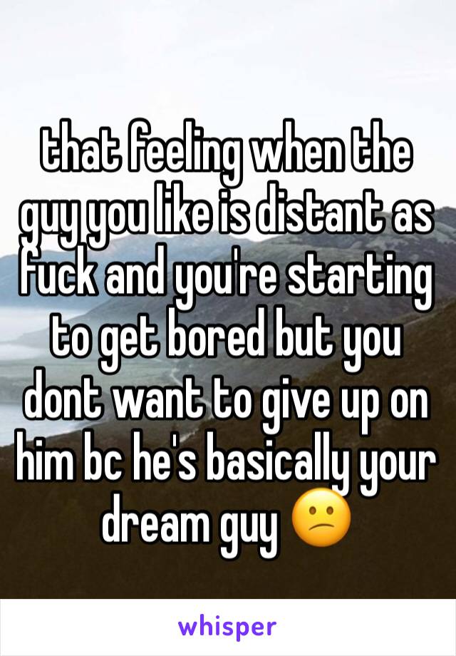 that feeling when the guy you like is distant as fuck and you're starting to get bored but you dont want to give up on him bc he's basically your dream guy 😕