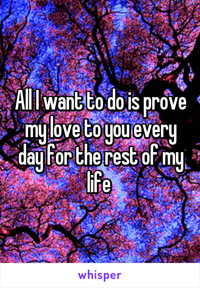 All I want to do is prove my love to you every day for the rest of my life 
