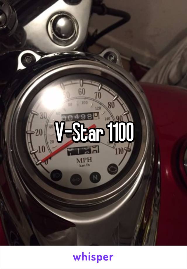 V-Star 1100