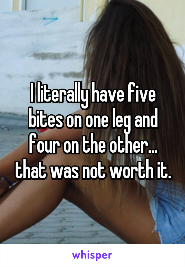 I literally have five bites on one leg and four on the other... that was not worth it.