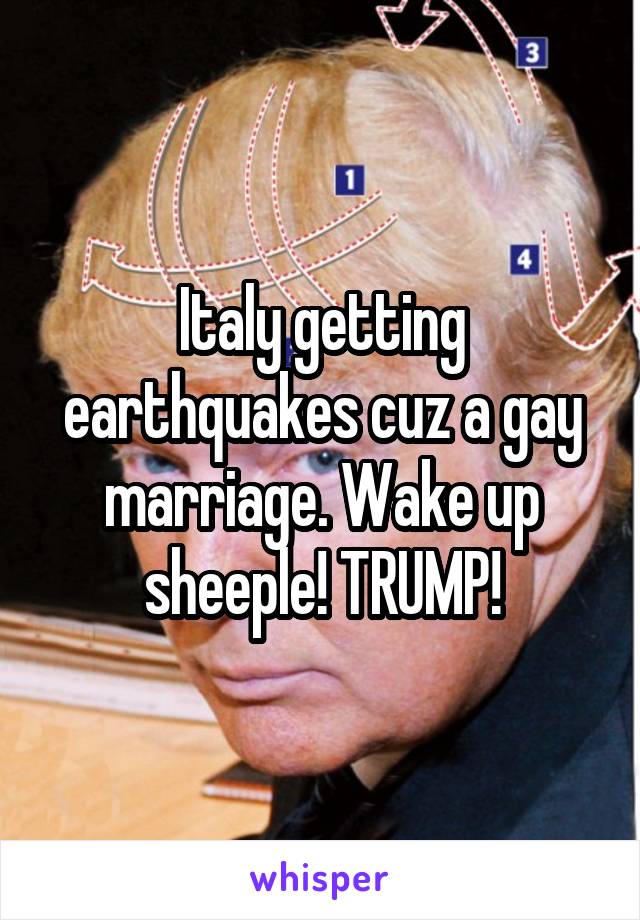 Italy getting earthquakes cuz a gay marriage. Wake up sheeple! TRUMP!