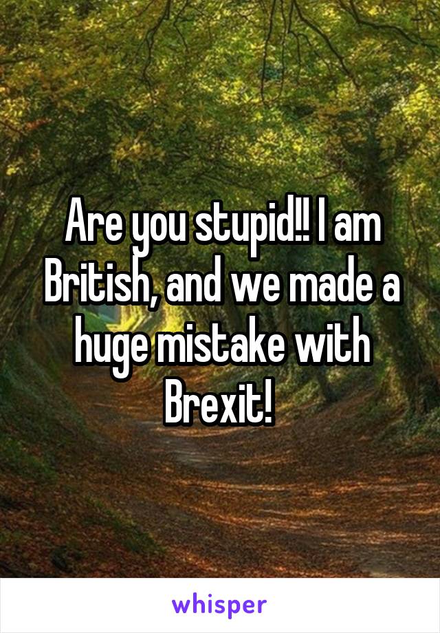 Are you stupid!! I am British, and we made a huge mistake with Brexit! 