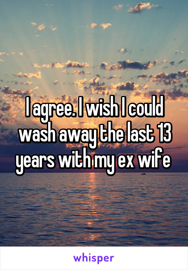 I agree. I wish I could wash away the last 13 years with my ex wife 