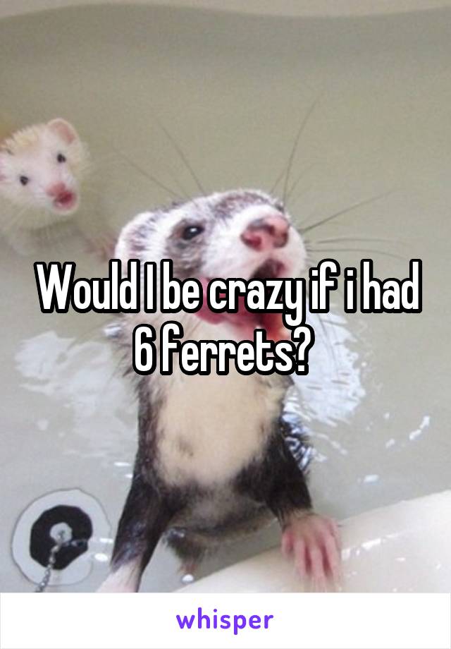 Would I be crazy if i had 6 ferrets? 
