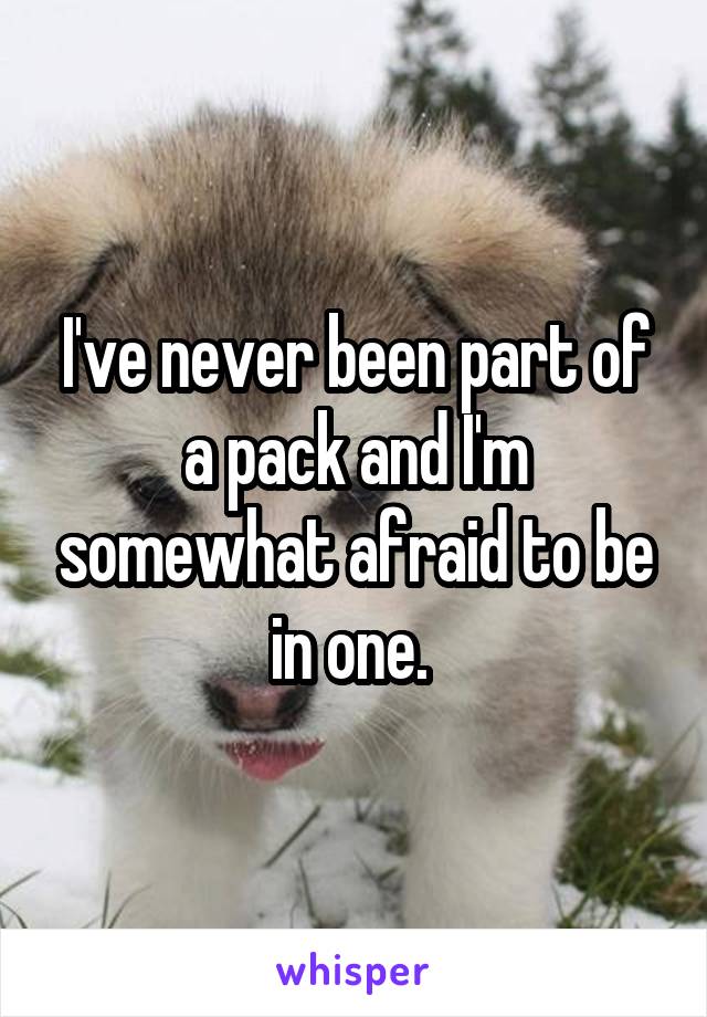 I've never been part of a pack and I'm somewhat afraid to be in one. 