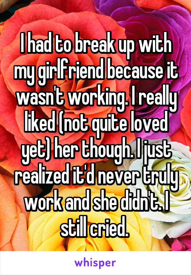 I had to break up with my girlfriend because it wasn't working. I really liked (not quite loved yet) her though. I just realized it'd never truly work and she didn't. I still cried. 