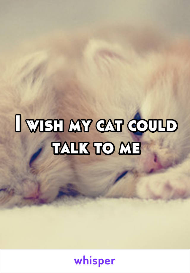 I wish my cat could talk to me