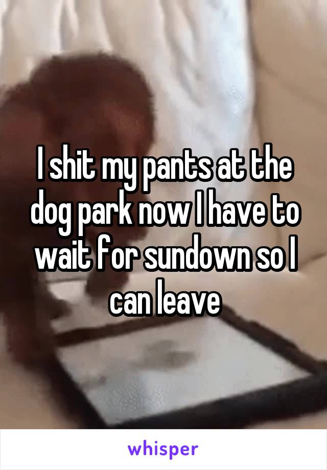 I shit my pants at the dog park now I have to wait for sundown so I can leave