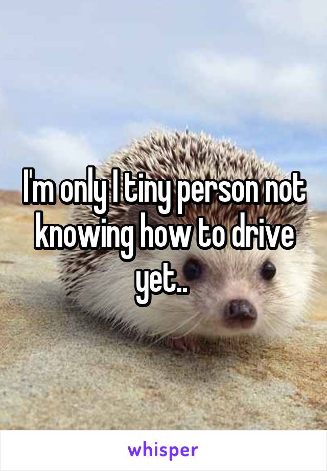 I'm only I tiny person not knowing how to drive yet.. 
