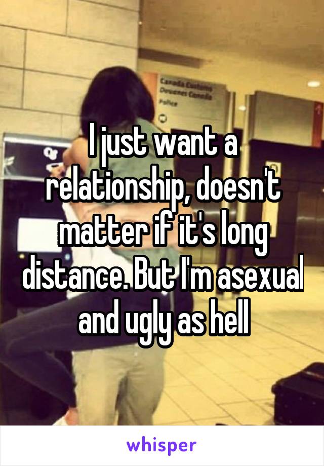 I just want a relationship, doesn't matter if it's long distance. But I'm asexual and ugly as hell