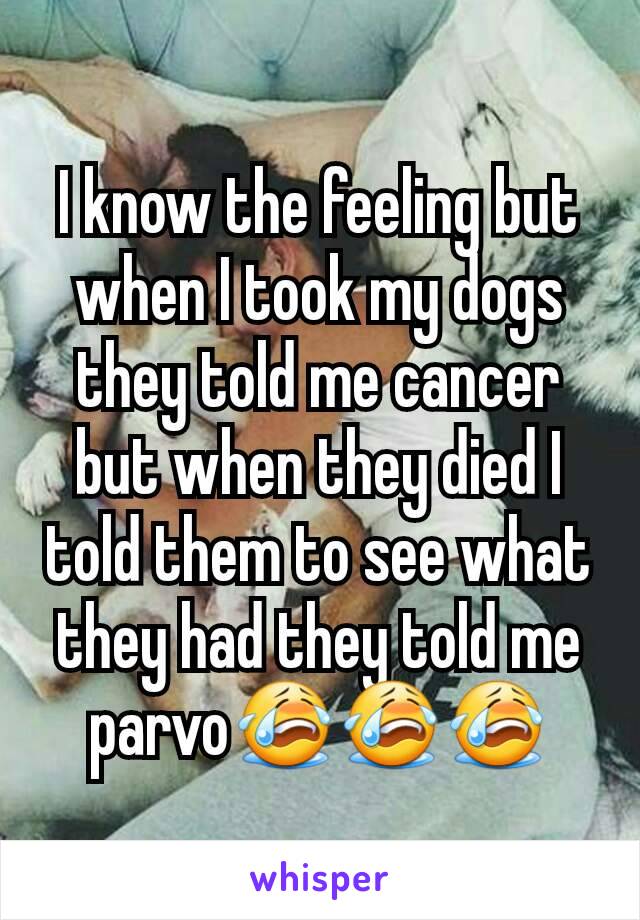 I know the feeling but when I took my dogs they told me cancer but when they died I told them to see what they had they told me parvo😭😭😭