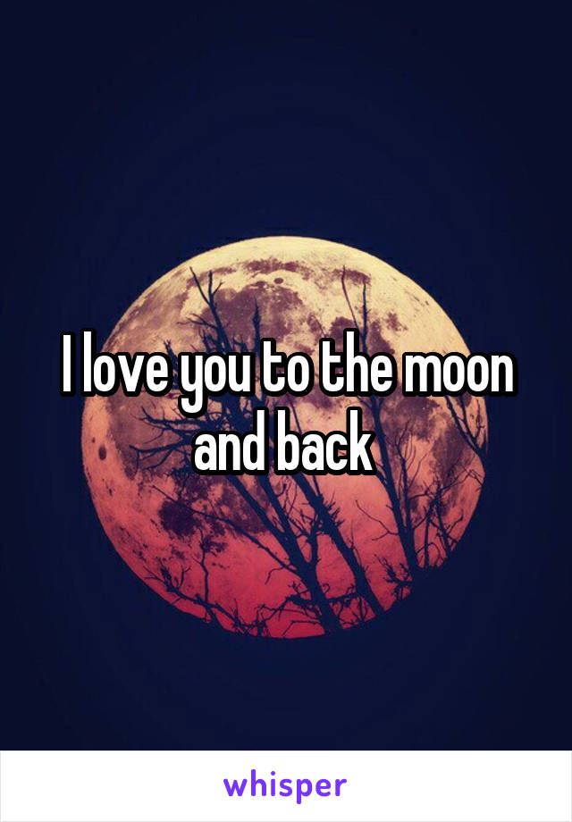 I love you to the moon and back 